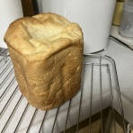 おてんば88歳・・日々録