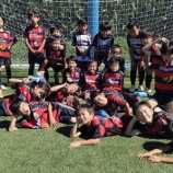 『サッカー日和でした！』の画像
