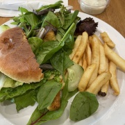 ���������Ǥ�