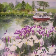 水彩画「菖蒲と水草」 水彩画「菖蒲と水草」