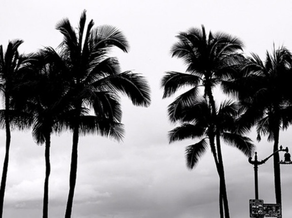 【緊急】大好きなハワイを助けたい。コナ・ロウ（Kona Low）豪雨災害、日本からできる支援まとめ