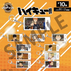 ハイキュー!! ねこ肯定感 : アニメ＆漫画 グッズ情報