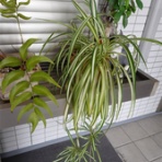 「藍川京」の部屋