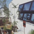 ���� Green Life
