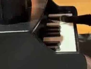 友人の家で楽器のセッションを楽しんでいた。今日は可愛い子が参加している → こんな様子です…