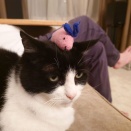 煮え煮え、火曜日。