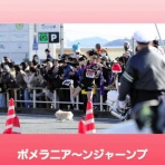 ボルゾイ暮らしトコトコ新聞2026