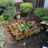 �ظ�ë���ࡦ��������̤�����ݳ�ư�Ȼ�������̤�β��Ŀ����ؤ��ܥ��ƥ����˻��ä��ޤ�������������̤�ηʴѤ�ʸ�������������ư�Ǥ����٤β���