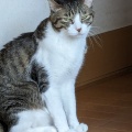 そら君　いっぱい