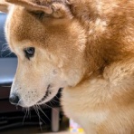 賃貸管理クレーム日記