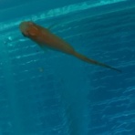 育てるってむずかしい〜