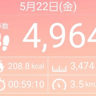 サクラの咲く頃～日常の幸せ