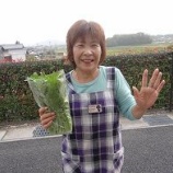 『長江　繁乃』の画像