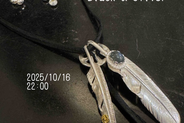 STUDIO T&Y Blog - フェザーネックレス