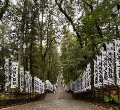 熊野本宮大社 @朝からお詣り