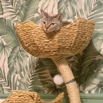 ふりむけば石川