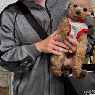 NPO法人ペット里親会