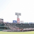 大学教授「甲子園は1000億円規模の価値がある。」
