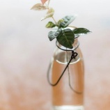 『朝からDIYで汗びっしょり』の画像