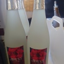 日本酒リーグフェスタ2026年秋⑮越乃雪椿