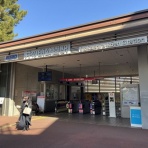 ディスカスの逍遥日誌