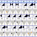 ボウリングのフリータイム　（４９５）