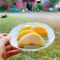 庭で桃とタマムシ