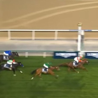 競馬総合まとめ速報