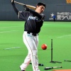 ON砲とキヨが存在する日ハムwwwwwwww 	