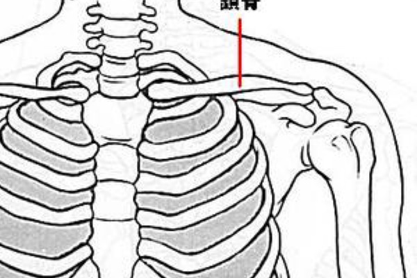 鎖骨にキスを 逆援交に幸あれ
