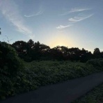 ブッチャケ(ぶっ鮭）日記