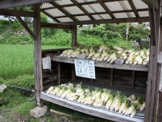 無人販売所の店主が万引き犯にブチギレるのっておかしくね？