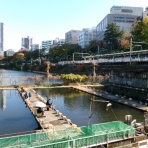 株主優待がやってきた♪