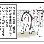 今日もうちのウマコが騒いでる