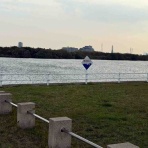 淀川大好きのウイングばか一代