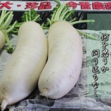 『オーガニックフェスタinいわて2025@一関 土との対話』の画像