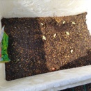 湯上り娘がお目覚めです💛