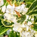 文句ばかり 言っていたら 文句ばかり 言っている人が 集まってくるんだよ。