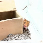 小動物専門店NATURE'S