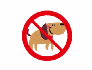 ペット不可物件でペットを飼う人がヤバ過ぎる行動に出てしまう⋯ 人の心とかないんかお前