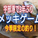 釣り坊主の独り言