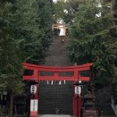 日本の馬 ― 語られる馬と実像の歴史 後編