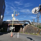 『横浜・菊名さんぽ～2023秋　2023/11/10』の画像