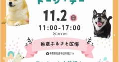 11月2日、かぼすちゃんの移動式花屋が佐倉に登場！佐倉ふるさと広場へGO！