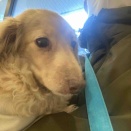 モコちゃんの様子は…