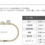 ツベイバ劇場別館～競馬穴予想ブログ