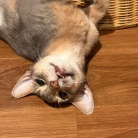 プチいざこざ兄弟