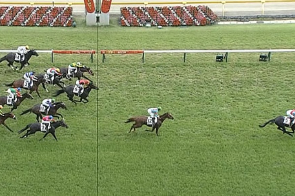 競馬のぼやきblog 年05月