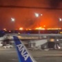 【羽田空港事故】日航機に預けられていたペット2件、救出できず → ペットが貨物扱いにされていることについて、物議に