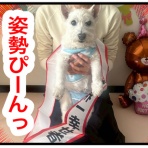 ちーちゃんっ🐾